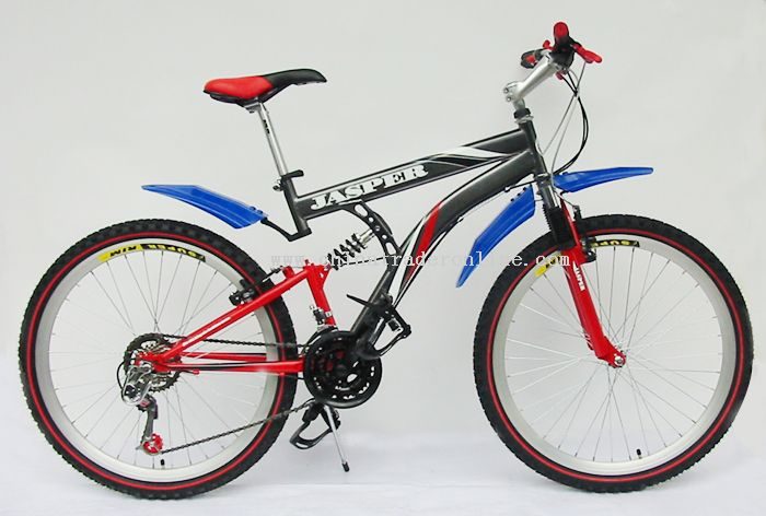 suspensiton bike 1